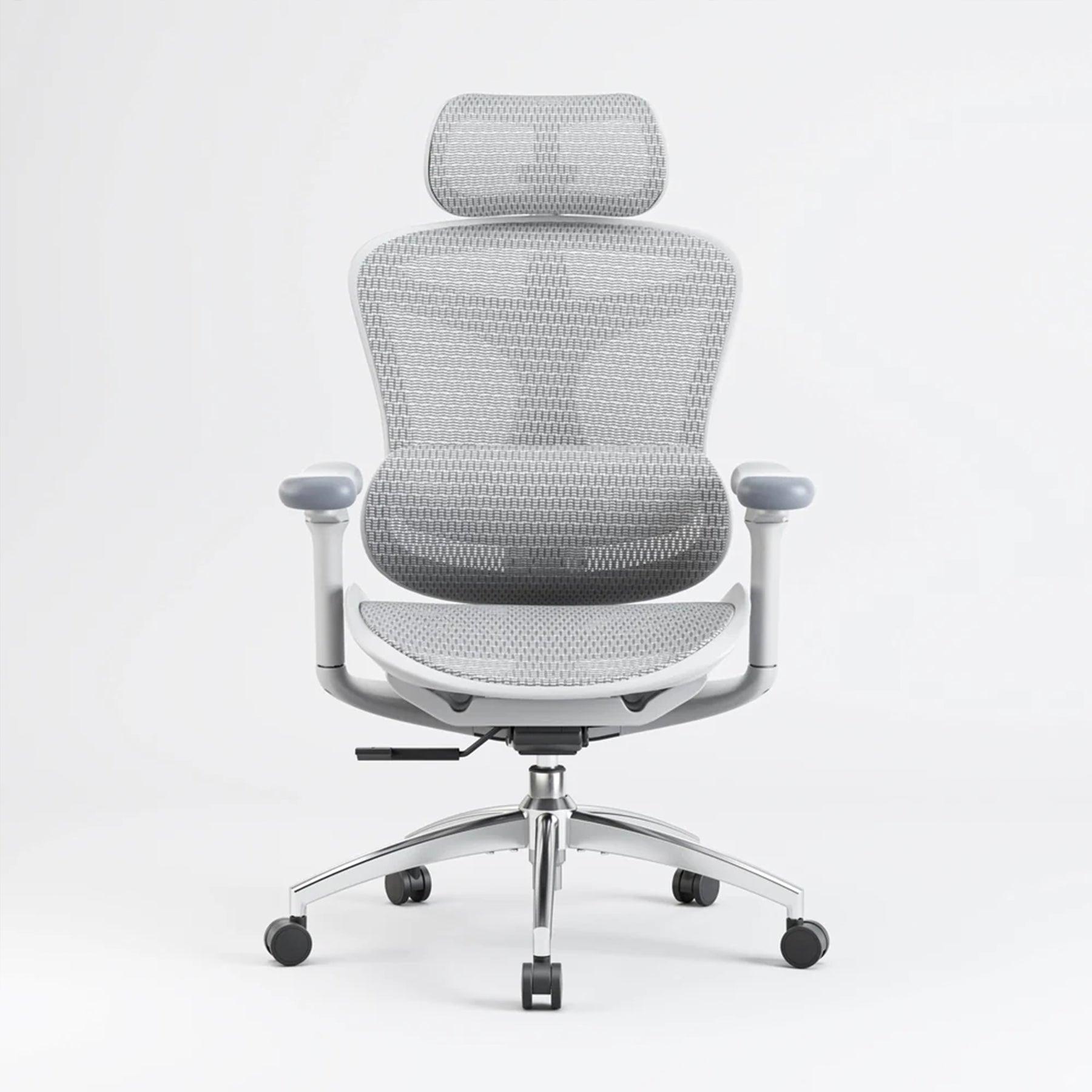 Sihoo C300 Ergonomic Office Chair with Advanced Back Support - Image 13