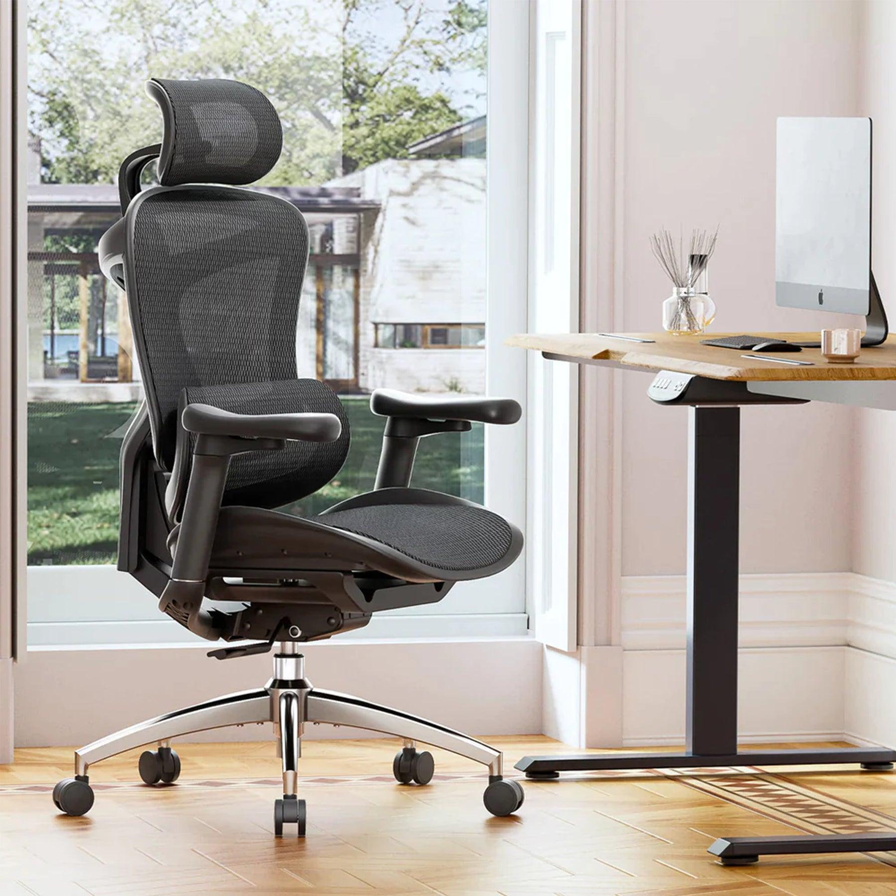 Sihoo C300 Ergonomic Office Chair with Advanced Back Support - Image 2
