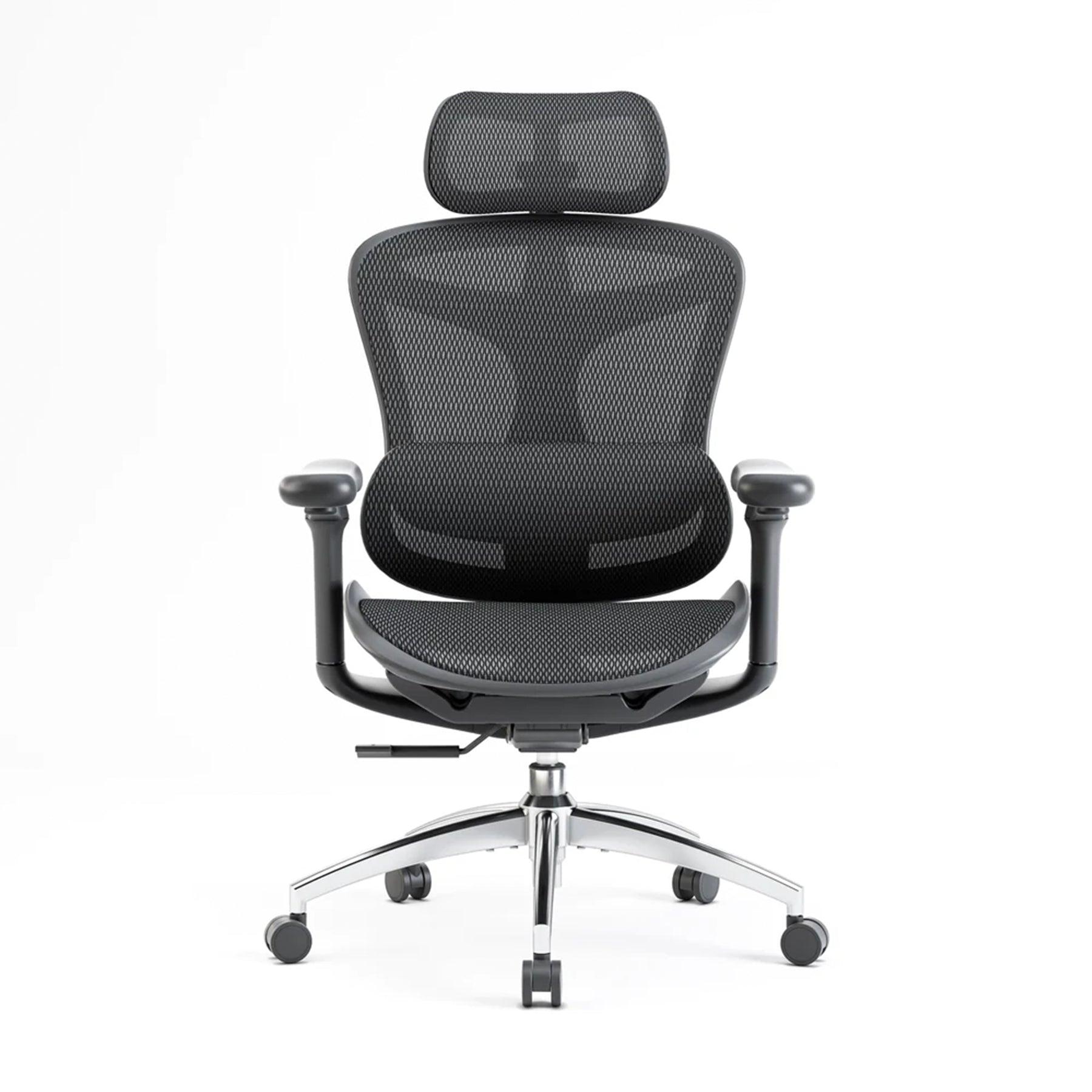 Sihoo C300 Ergonomic Office Chair with Advanced Back Support - Image 3