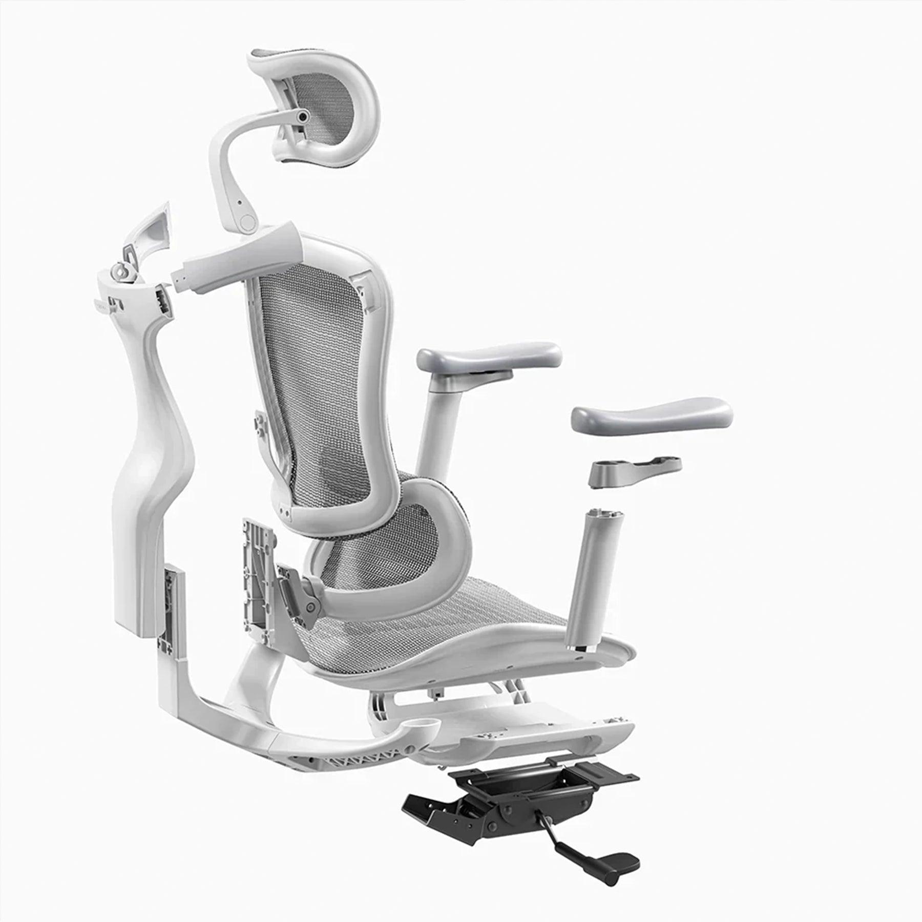 Sihoo C300 Ergonomic Office Chair with Advanced Back Support - Image 16