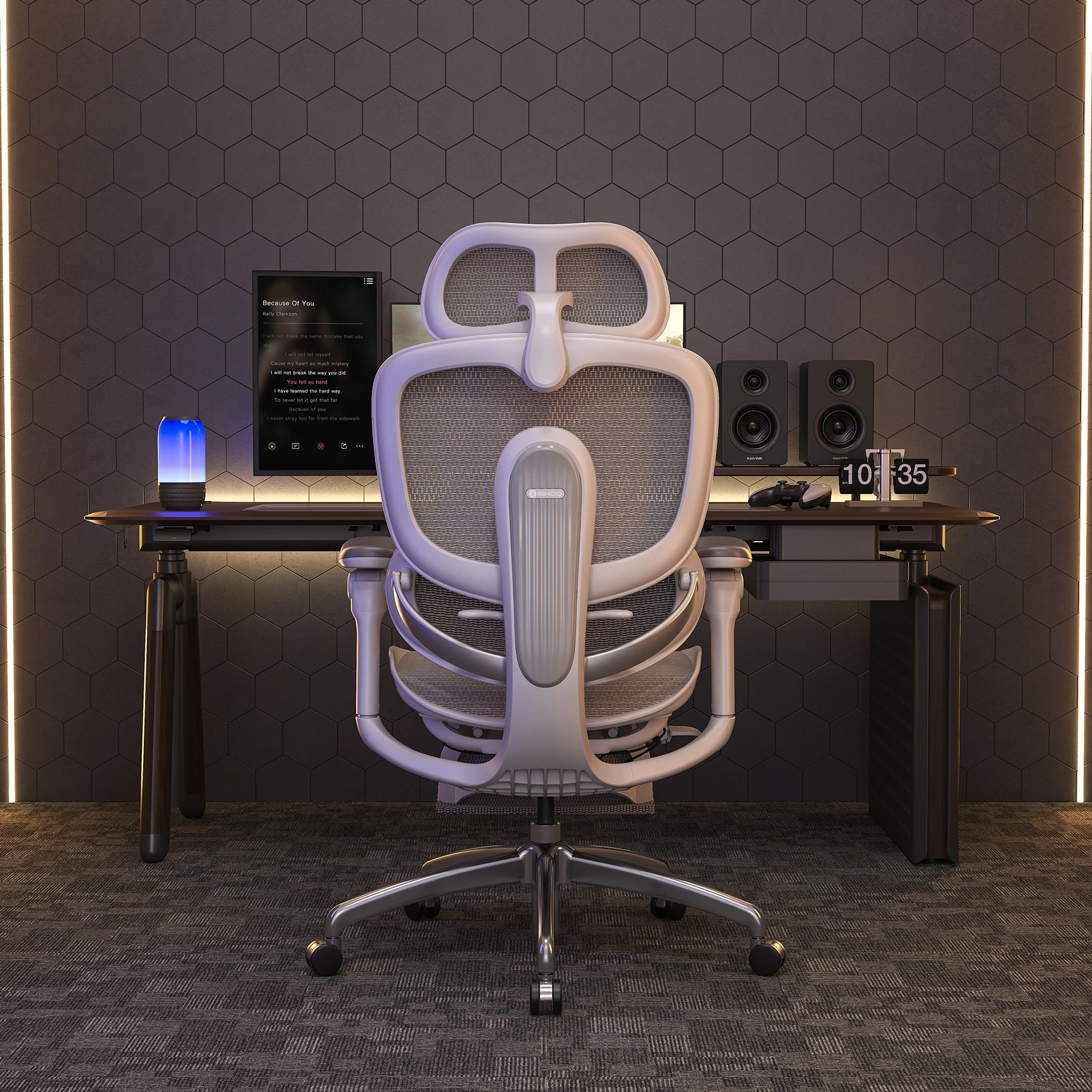 Sihoo Doro C300 Pro V2 Ergonomic Office Chair - Image 10
