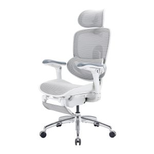 Sihoo Doro C300 Pro V2 Ergonomic Office Chair