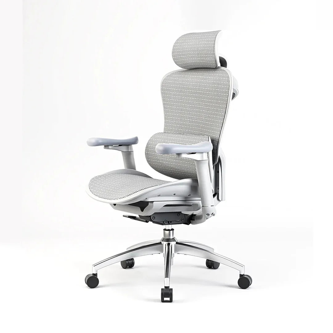 Sihoo C300 Ergonomic Office Chair with Advanced Back Support - Image 15